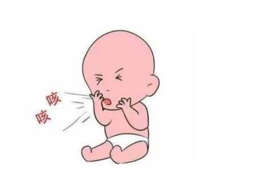 六细胞2级胚胎养囊的成功率，一文带你了解