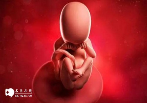双子宫是什么情况，双子宫怎么治疗