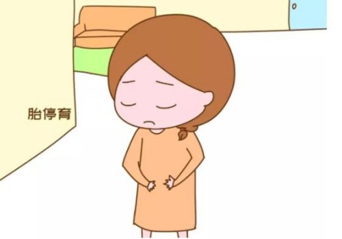 为什么生男生女早就注定了,生男生女真的是命定的吗