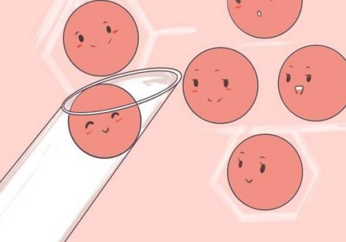 杭州助孕生子:2023上海市东方医院试管婴儿完整攻略手册,附助孕成功率预估