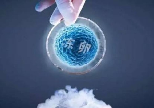 试管婴儿哪种方案比较好,了解你适合哪一种方案