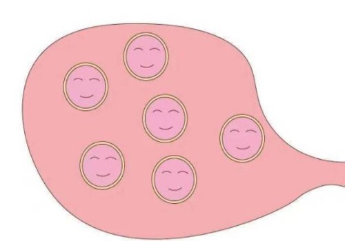 怀双胞胎的5个方法，这些科学备孕的方法可参考