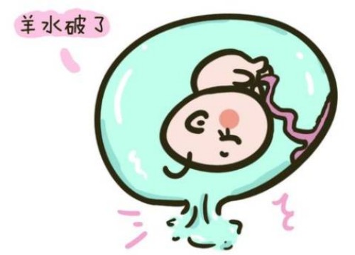 杭州助孕代怀生男孩机构:儿童需要接种哪些疫苗?打完疫苗后这些最好注意一下