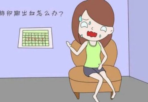 什么样的人群会选择做试管婴儿-只是不孕不育的家庭吗