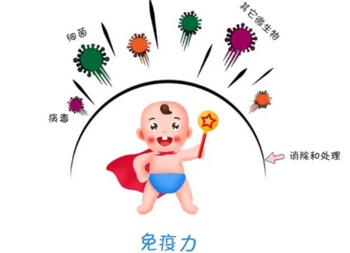 肾功能三项检查项目解析，这三个项目缺一不可