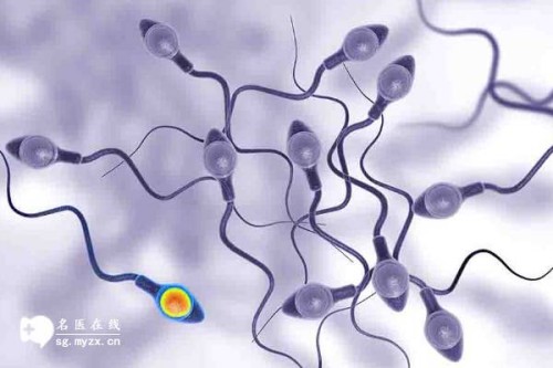 杭州助孕机构：B超查怀孕需要憋尿进行,怀孕做b超憋尿技巧