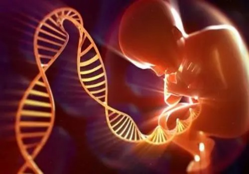 杭州试管婴儿价格:试管移植后能吃油炸食品吗?还有下面这些事项需要注意