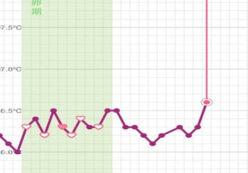 杭州正规助孕机构：产后宫底下降别慌，掌握调理骨盆腔的方法是关键