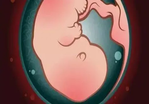 杭州助孕机构：注意！孕妇吃腌制食品对胎儿的影响