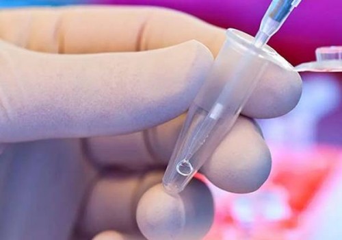 广州供卵试管有专门的卵子库吗，附借卵排队时间公布