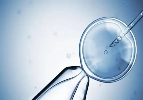 香港被爆支持未婚女性冷冻卵子,或成为大多数国内未还女性冻卵的选择